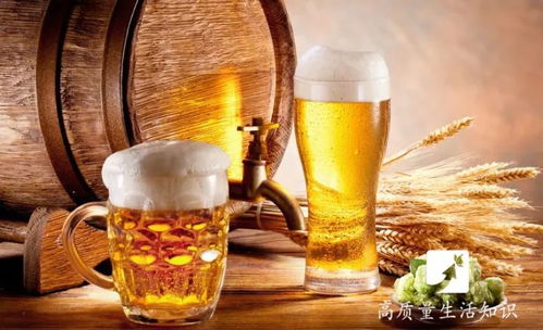 盤錦酒桌規矩解密 1杯白酒到底等于多少瓶啤酒？